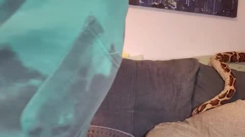 Snapshot of julia_official chatting on 11/07/25, 05:02 julia_official online show from 11/07/25, 05:02