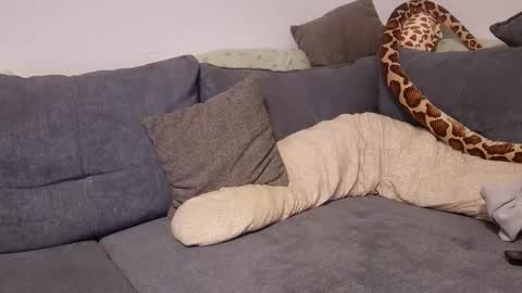 Snapshot of julia_official chatting on 11/11/25, 10:21 julia_official online show from 11/11/25, 10:21