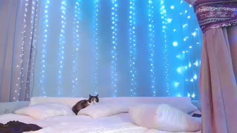 Julia online show from 11/29/25, 07:22