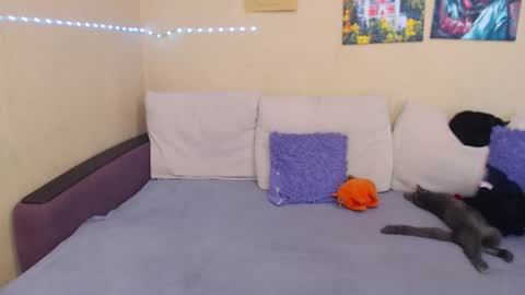 Jul online show from 09/12/25, 02:06