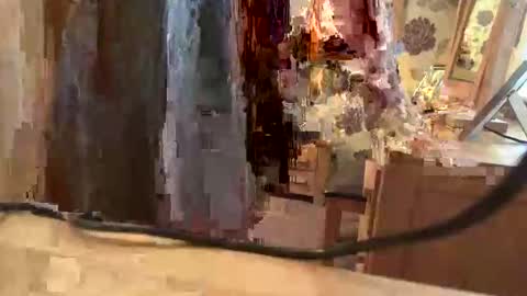 Snapshot of juliecd1955 chatting on 11/06/25, 01:56 brian online show from 11/06/25, 01:56