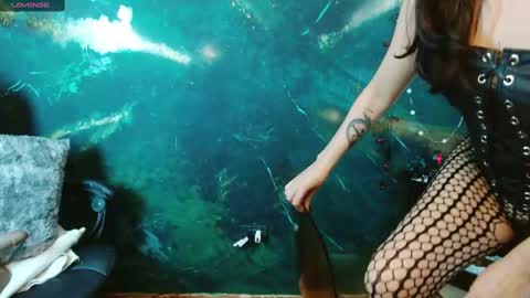    online show from 11/19/25, 05:18