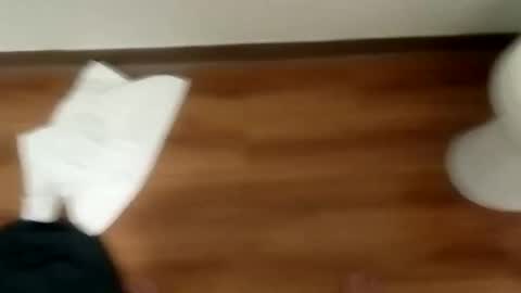 manolito online show from 01/19/25, 12:06