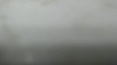 Snapshot of junk_yard_dog chatting on 03/06/26, 02:13 Dave online show from 03/06/26, 02:13