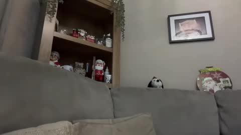 Junky online show from 12/13/24, 07:21