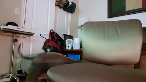 Snapshot of just4fun1523 chatting on 01/09/26, 02:14 just4fun1523 online show from 01/09/26, 02:14