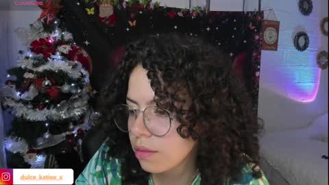 Snapshot of just_katiex chatting on 12/31/24, 12:43 Sofia online show from 12/31/24, 12:43