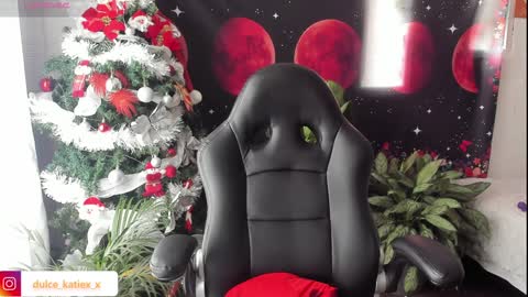 Snapshot of just_katiex chatting on 12/31/24, 06:24 Sofia online show from 12/31/24, 06:24