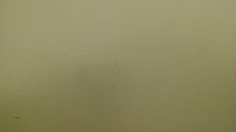 Just marlon online show from 01/17/25, 02:39