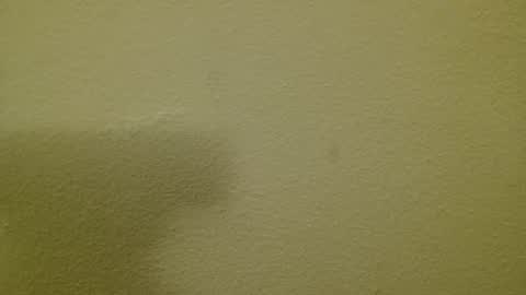 Just marlon online show from 03/03/25, 08:21