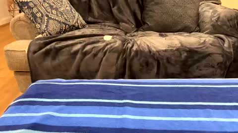 Snapshot of just_ur_avg_cpl chatting on 02/17/25, 12:32 justuravgdad  justuravgmom online show from 02/17/25, 12:32