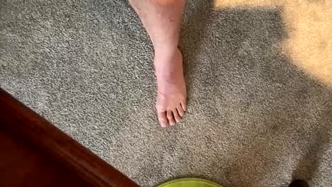 Snapshot of justanudedude chatting on 12/05/24, 01:38 justanudedude online show from 12/05/24, 01:38