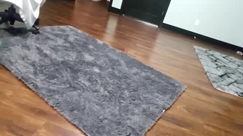 Snapshot of justaskforbiga chatting on 01/15/26, 06:07 Tohiptwoquit online show from 01/15/26, 06:07