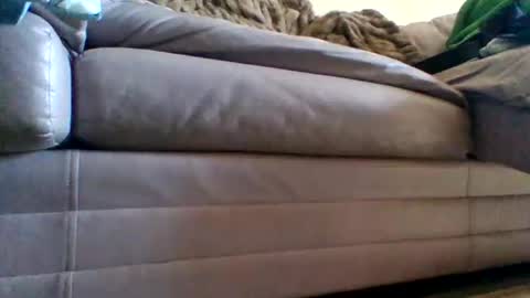 Snapshot of justgrosch4200 chatting on 02/27/26, 05:46 justgrosch4200 online show from 02/27/26, 05:46