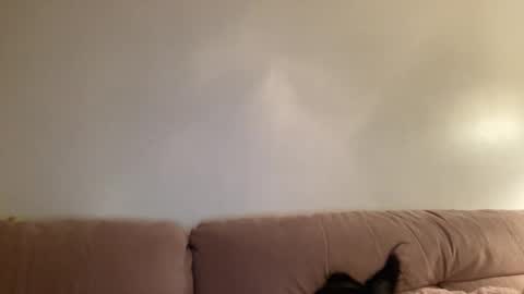 Snapshot of justjessiedirtygirl chatting on 03/02/26, 04:36 Jess online show from 03/02/26, 04:36