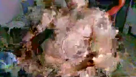 juteja online show from 09/13/25, 10:20