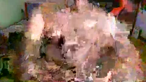 juteja online show from 09/16/25, 09:16