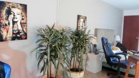 kai_storn online show from 04/29/26, 05:30