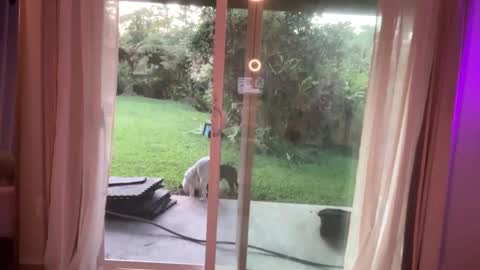 Snapshot of kaileeshy chatting on 01/07/25, 03:46 Kailee Smile online show from 01/07/25, 03:46