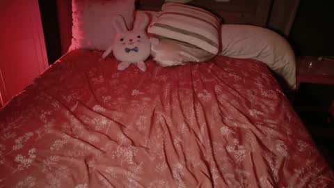 Snapshot of kaileeshy chatting on 11/18/25, 04:28 Kailee Smile online show from 11/18/25, 04:28