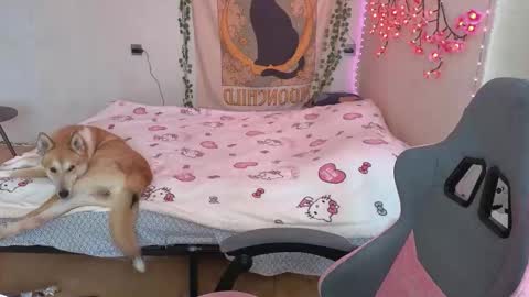 Snapshot of kaisythesmall chatting on 03/12/26, 06:41 Kessy online show from 03/12/26, 06:41