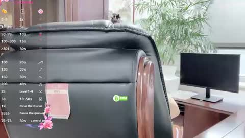 Kaixin online show from 06/13/26, 01:58