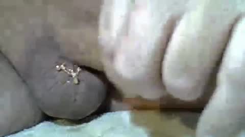 Snapshot of kangarooh66 chatting on 11/24/25, 07:52 Kangarooh66 online show from 11/24/25, 07:52