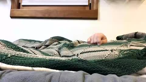 kansas_mastutbater online show from 10/24/25, 02:30