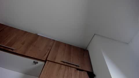 Snapshot of karina_aurora chatting on 01/11/26, 04:28 karina_aurora online show from 01/11/26, 04:28