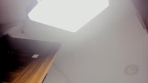 Snapshot of karina_aurora chatting on 01/17/26, 04:06 karina_aurora online show from 01/17/26, 04:06