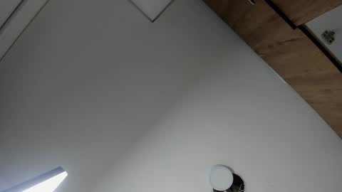 Snapshot of karina_aurora chatting on 02/19/26, 04:19 karina_aurora online show from 02/19/26, 04:19