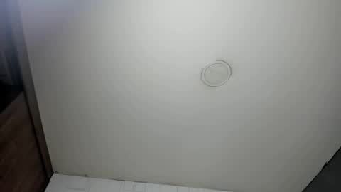 Snapshot of karina_aurora chatting on 04/14/26, 06:30 karina_aurora online show from 04/14/26, 06:30