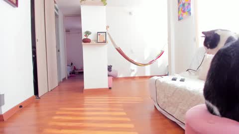 Karlye online show from 01/22/25, 02:24