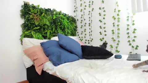 Karlye online show from 02/09/25, 05:54