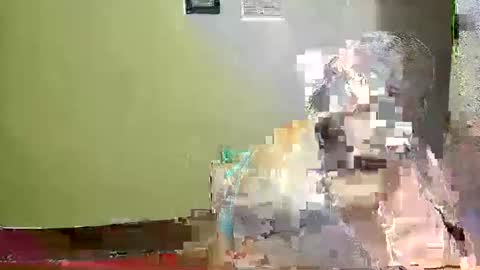 Karol online show from 05/03/26, 02:28