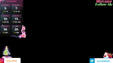 Snapshot of karol_09 chatting on 12/18/24, 02:10 karol 09 online show from 12/18/24, 02:10