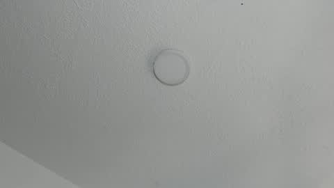 love meeee online show from 01/16/25, 02:41