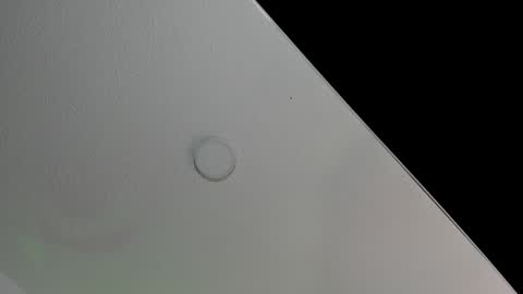 love meeee online show from 02/08/25, 02:27