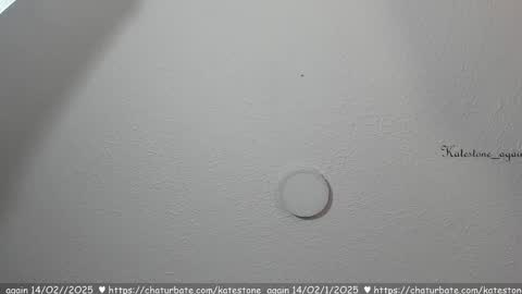 love meeee online show from 02/14/25, 07:44