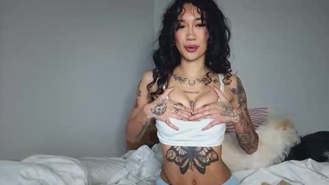 katiecai online show from 04/09/26, 08:14