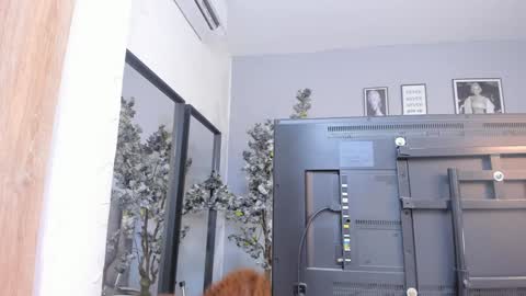 Snapshot of kattejordan chatting on 01/18/25, 10:28 Katerine online show from 01/18/25, 10:28