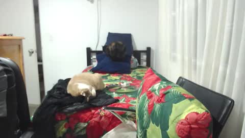 Snapshot of kawit1 chatting on 01/10/26, 12:01 Khawit online show from 01/10/26, 12:01