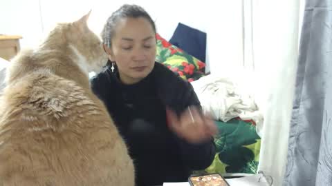 Snapshot of kawit1 chatting on 01/15/26, 04:17 Khawit online show from 01/15/26, 04:17