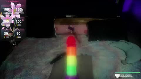 Kelly online show from 11/13/25, 05:39