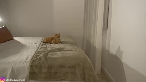 Andrea online show from 03/10/25, 08:23