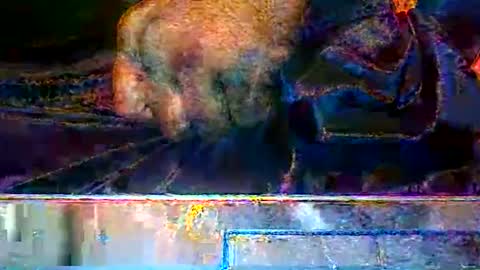 Snapshot of kendreko049 chatting on 03/14/26, 09:37 KENDREKO online show from 03/14/26, 09:37