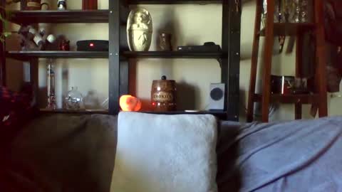 Snapshot of kenkuddles chatting on 01/17/25, 10:12 Ken Kuddles online show from 01/17/25, 10:12