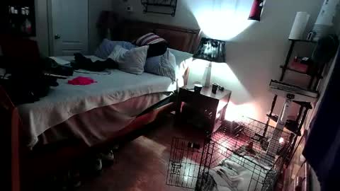 Snapshot of kevincosco65 chatting on 02/18/25, 05:09 kevincosco65 online show from 02/18/25, 05:09