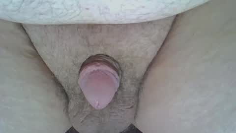 maggot online show from 03/08/25, 08:22