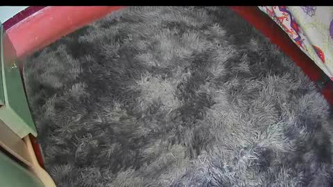 Keyla online show from 02/25/26, 06:17